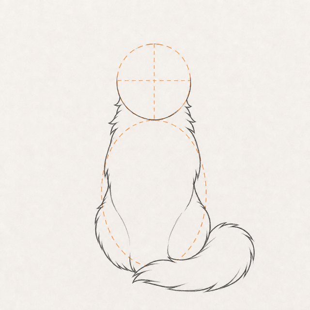 wolf drawing at step 3