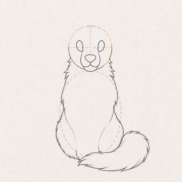 wolf drawing at step 4