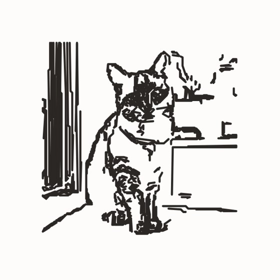 the pencil drawing traced from the cat photo
