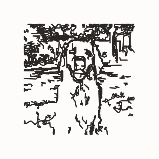 the pencil drawing traced from the dog photo